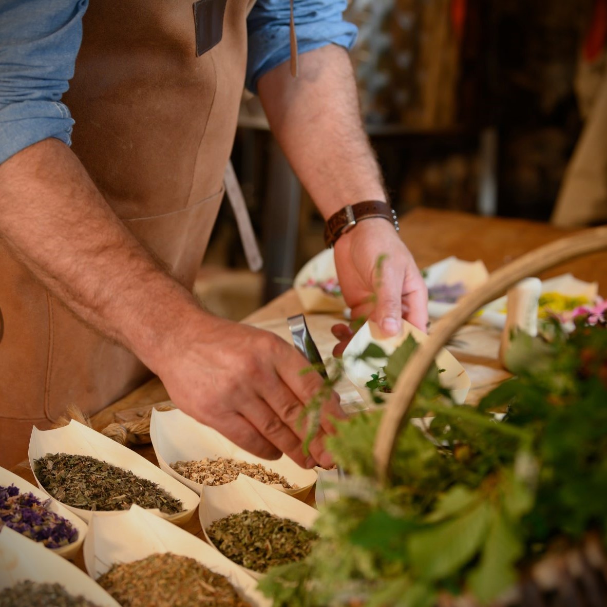 Maredsous_Distillery_Herboristerie_Plante_Bio_19_Carre